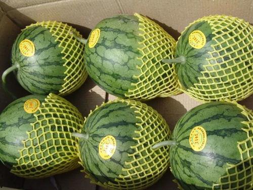 准备吃瓜的图,吃瓜群众齐聚一堂，共度欢乐时光