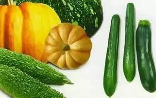 吃瓜爆发,揭秘网络爆料的魅力与争议