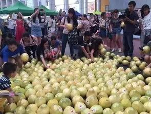 吃瓜群众柚子,揭秘娱乐圈幕后故事