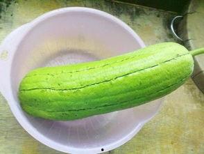 水瓜烂掉可以吃,神奇发酵美食之旅