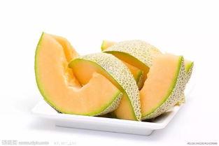 小浪吃哈密瓜,小浪的哈密瓜美食之旅