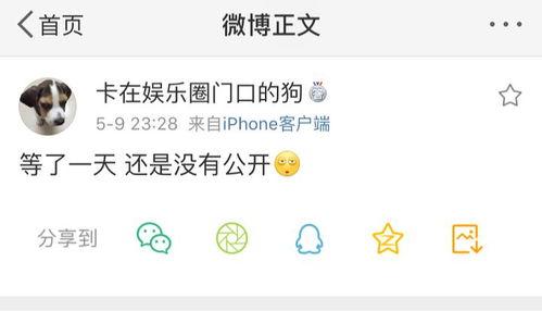 吃瓜爆料精灵,吃瓜爆料精灵带你探秘明星幕后故事