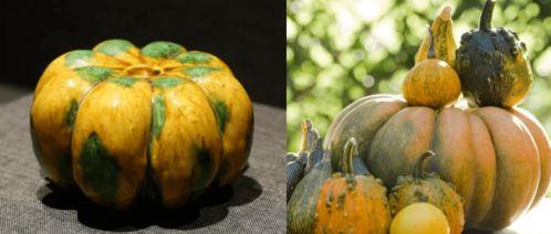 穿越后每天吃瓜,每日一瓜，笑料连连