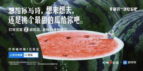 吃瓜幼儿园文案,一场欢乐的童年盛宴