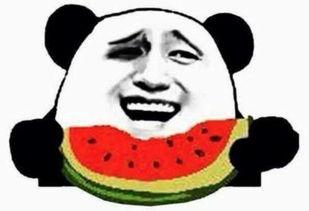 吃瓜群众的烂剧,吃瓜群众眼中的雷剧大赏