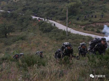 野外生存吃大瓜,大瓜的生存智慧与食用技巧