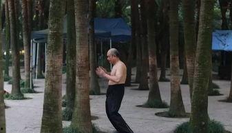 吃瓜撞树,一场意外的瓜界奇遇