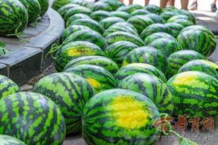 南昌大学经管吃瓜,吃瓜群众眼中的校园风云录