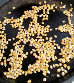 吃瓜不吐爆米花