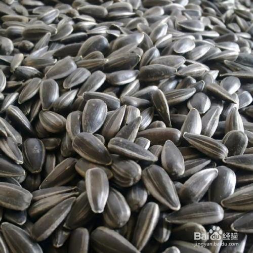 瓜耳瓜子怎么吃,瓜耳瓜子美味食法大揭秘