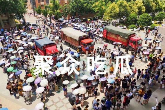 吃瓜网云南高校,探寻瓜田里的学术乐园