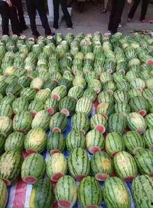 江苏景点吃瓜,吃瓜之旅，品味江南风味