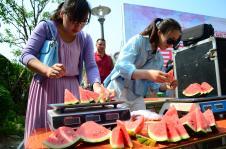 吃瓜大赛在枣庄,瓜香四溢，欢乐满城