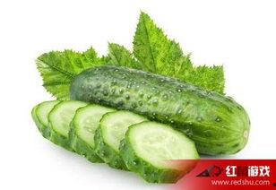 秋天吃小瓜好吗,小瓜美食，健康美味两不误