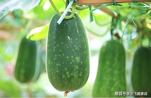 吃瓜是什么污,揭秘网络恶语现象