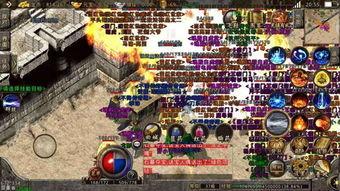 吃瓜传奇二,瓜界风云再起，揭秘幕后真相